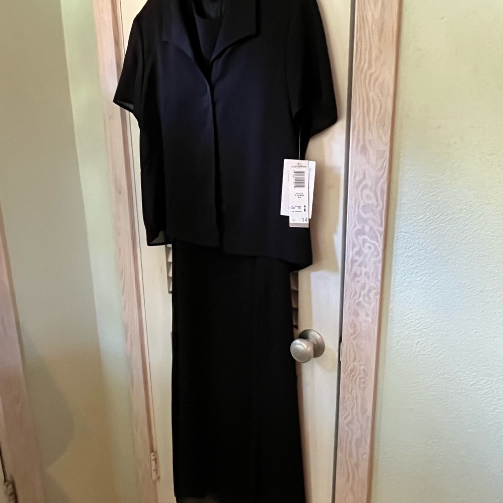 Elegant Black Women's Dress with sheer black short sleeve top.